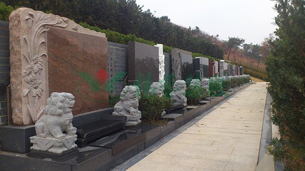 南宫NG28相信品牌的实力网址(中国)官网