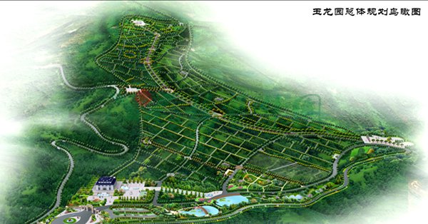 南宫NG28相信品牌的实力网址(中国)官网