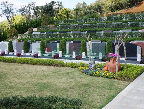 南宫NG28相信品牌的实力网址(中国)官网