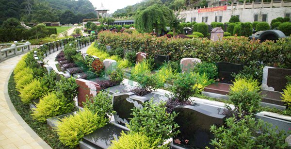 南宫NG28相信品牌的实力网址(中国)官网