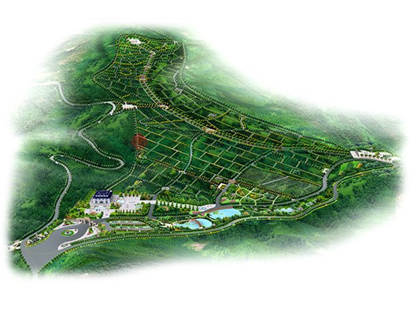 南宫NG28相信品牌的实力网址(中国)官网