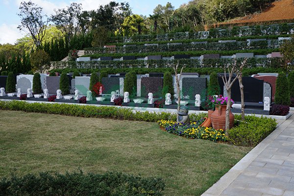 南宫NG28相信品牌的实力网址(中国)官网