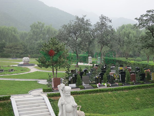 南宫NG28相信品牌的实力网址(中国)官网