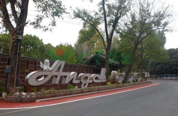 南宫NG28相信品牌的实力网址(中国)官网