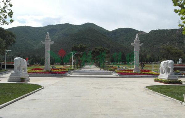 南宫NG28相信品牌的实力网址(中国)官网