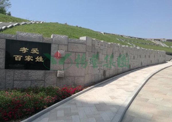 南宫NG28相信品牌的实力网址(中国)官网