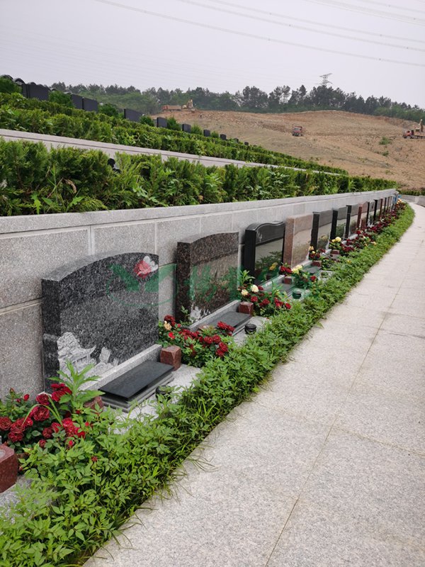 南宫NG28相信品牌的实力网址(中国)官网