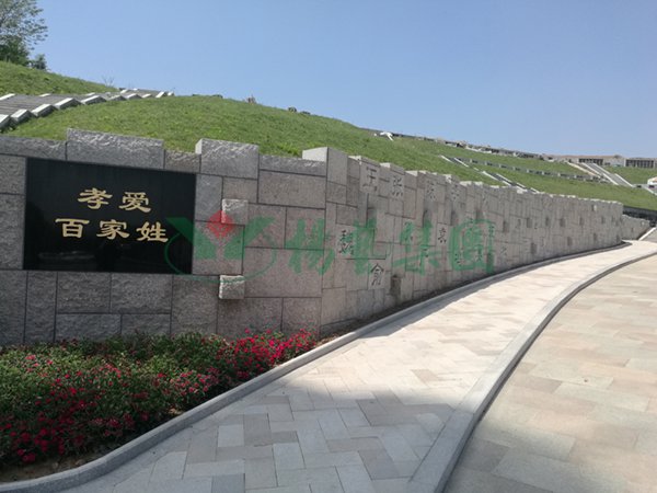 南宫NG28相信品牌的实力网址(中国)官网