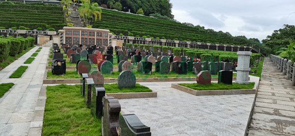 南宫NG28相信品牌的实力网址(中国)官网