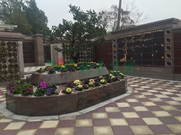 南宫NG28相信品牌的实力网址(中国)官网