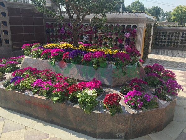 南宫NG28相信品牌的实力网址(中国)官网