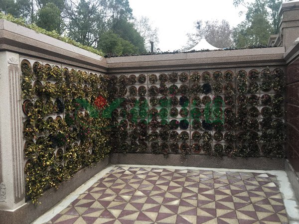 南宫NG28相信品牌的实力网址(中国)官网