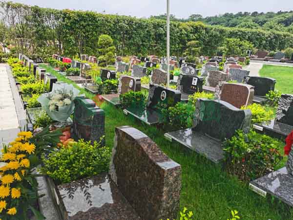 南宫NG28相信品牌的实力网址(中国)官网