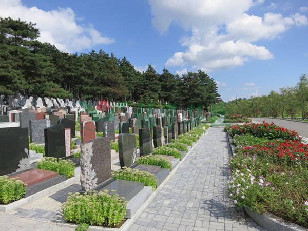 南宫NG28相信品牌的实力网址(中国)官网