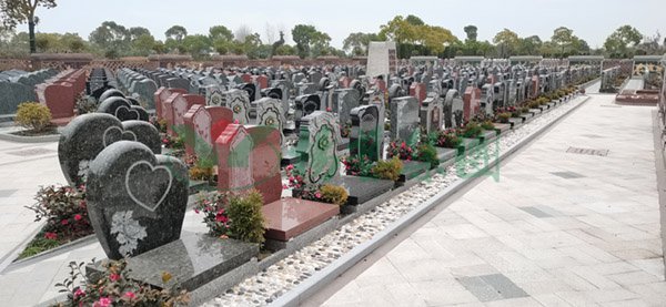 南宫NG28相信品牌的实力网址(中国)官网