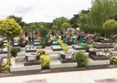 上；；；；；；懔靶腔鹎