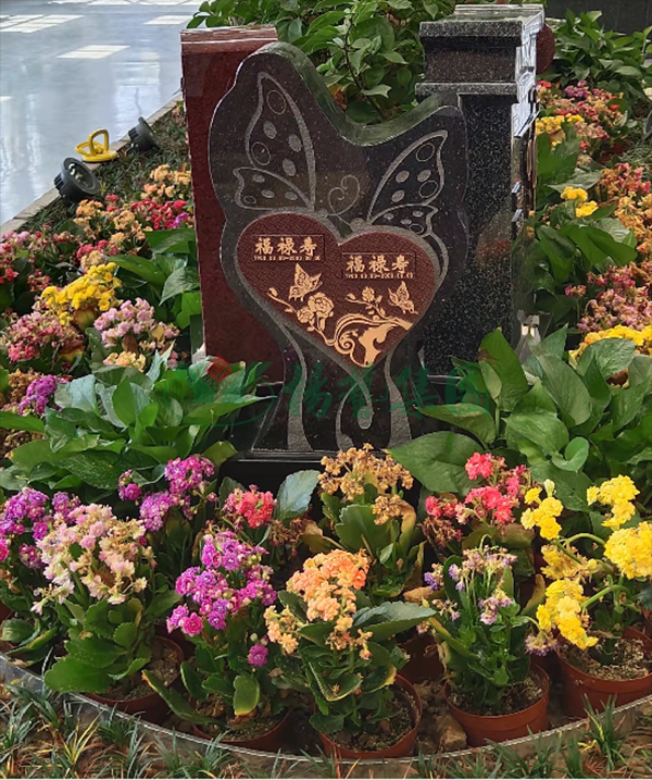 南宫NG28相信品牌的实力网址(中国)官网