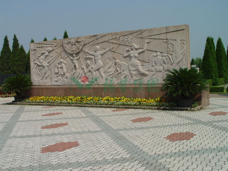 南宫NG28相信品牌的实力网址(中国)官网