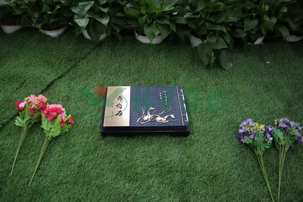 南宫NG28相信品牌的实力网址(中国)官网