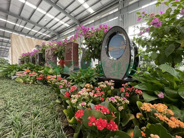 南宫NG28相信品牌的实力网址(中国)官网