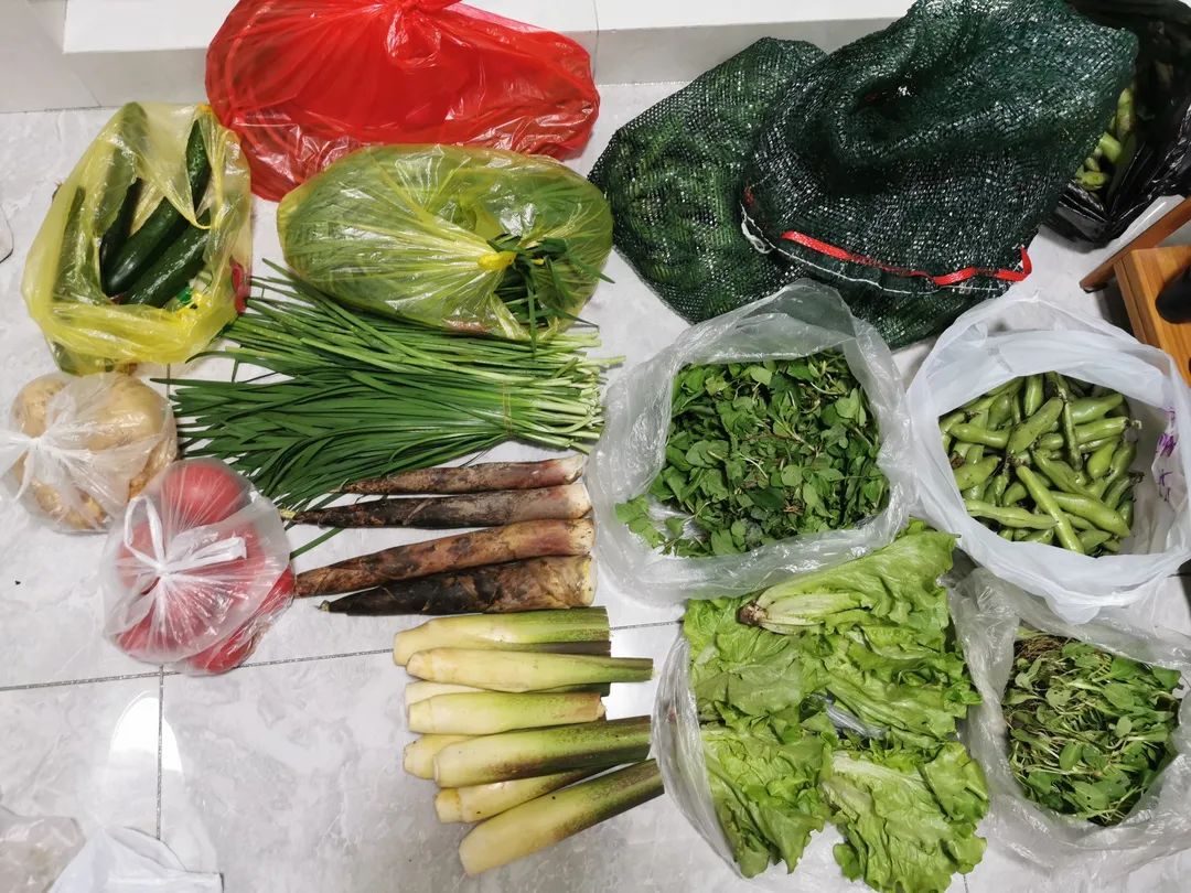 南宫NG28相信品牌的实力网址(中国)官网