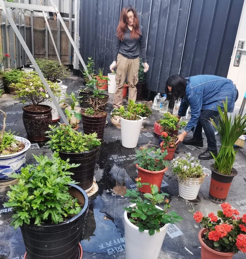 南宫NG28相信品牌的实力网址(中国)官网