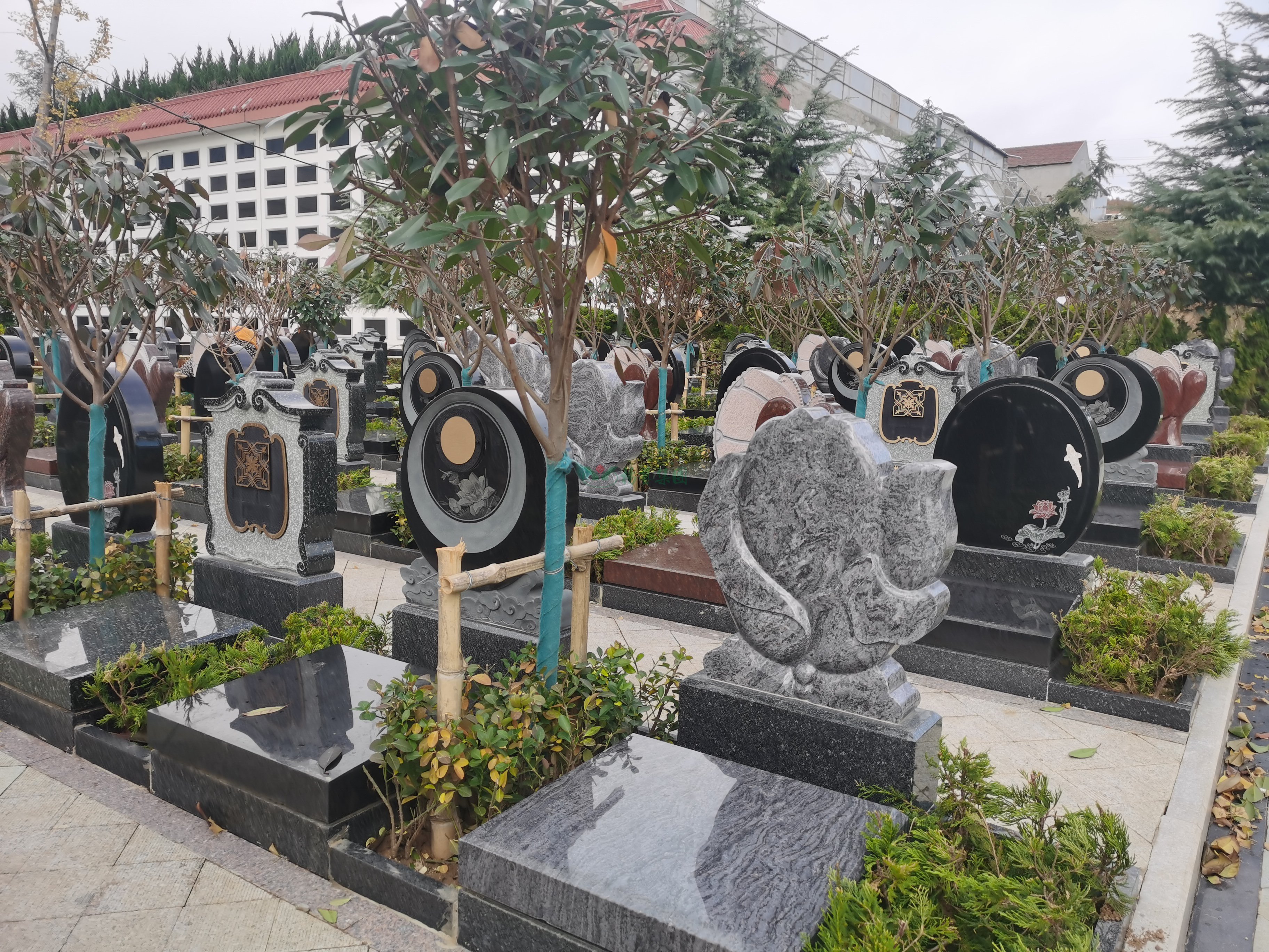 南宫NG28相信品牌的实力网址(中国)官网