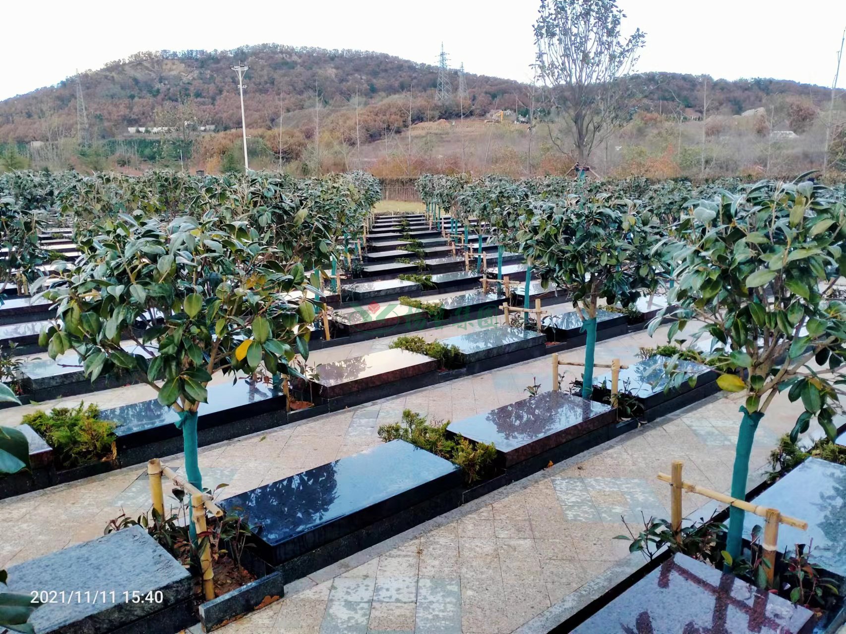 南宫NG28相信品牌的实力网址(中国)官网