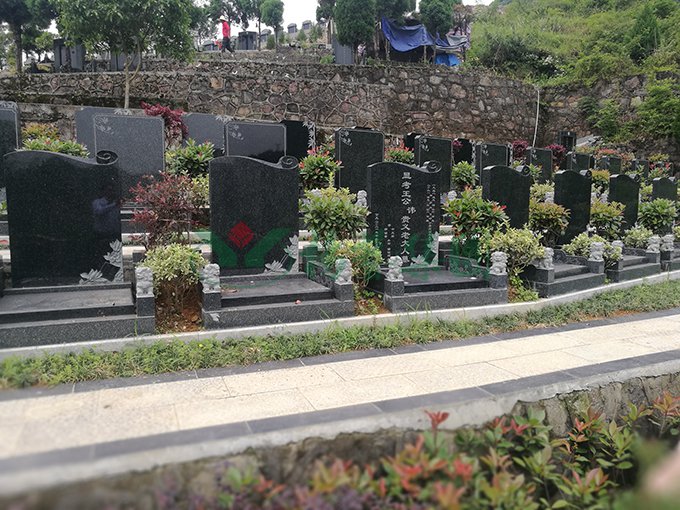 南宫NG28相信品牌的实力网址(中国)官网