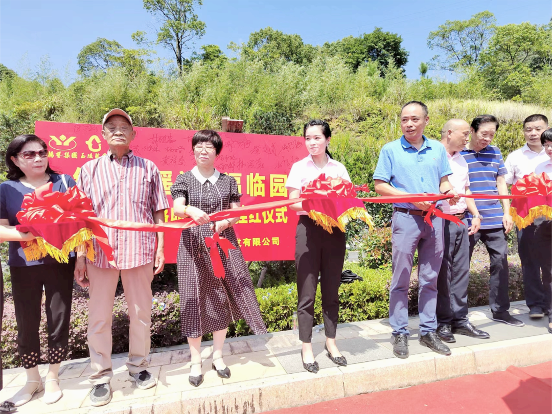 南宫NG28相信品牌的实力网址(中国)官网