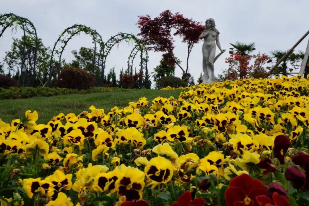 南宫NG28相信品牌的实力网址(中国)官网