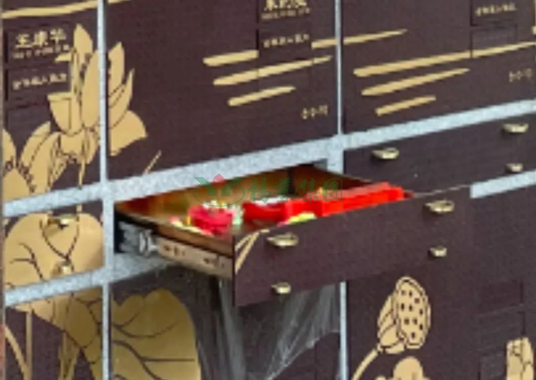 南宫NG28相信品牌的实力网址(中国)官网