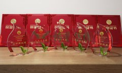 “南宫NG28杯”浙江省节地生态埋葬设计作品奖