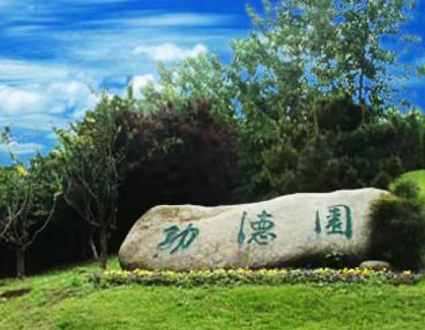 南宫NG28相信品牌的实力网址(中国)官网