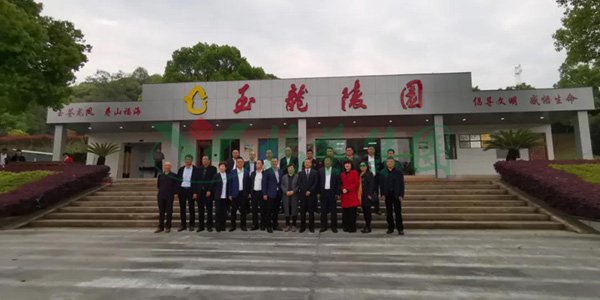 南宫NG28相信品牌的实力网址(中国)官网