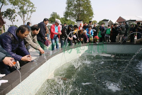 南宫NG28相信品牌的实力网址(中国)官网