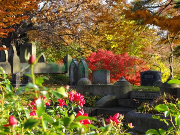 南宫NG28相信品牌的实力网址(中国)官网