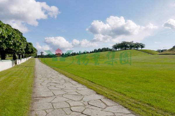 南宫NG28相信品牌的实力网址(中国)官网