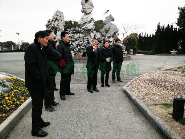 南宫NG28相信品牌的实力网址(中国)官网