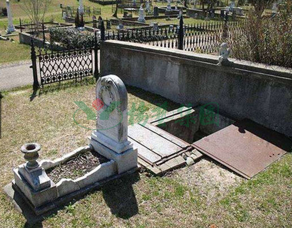 南宫NG28相信品牌的实力网址(中国)官网