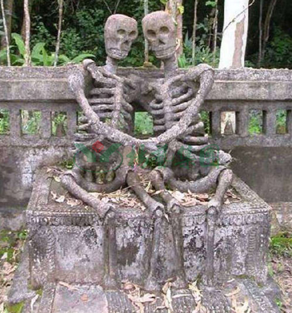 南宫NG28相信品牌的实力网址(中国)官网