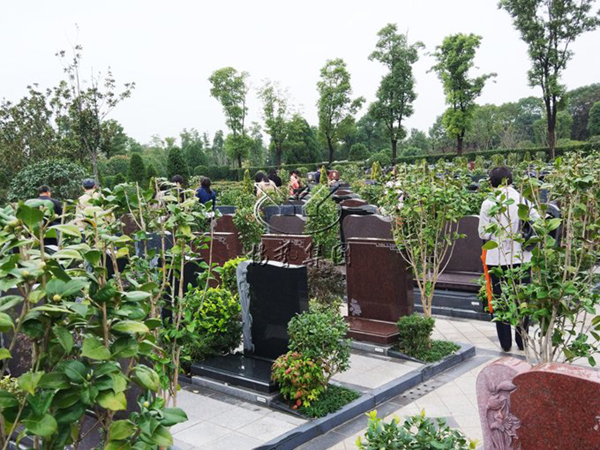 南宫NG28相信品牌的实力网址(中国)官网