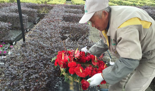 南宫NG28相信品牌的实力网址(中国)官网