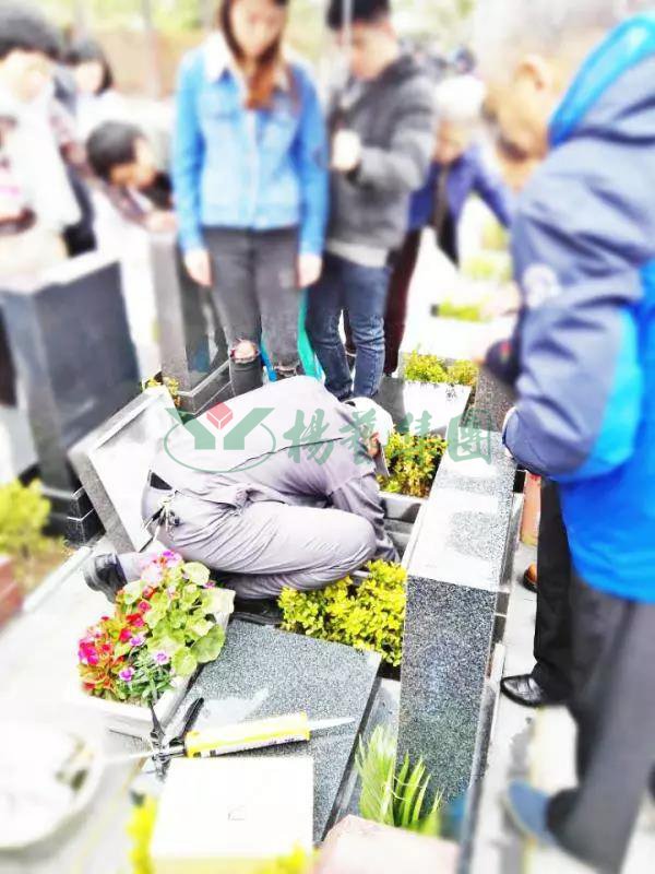 南宫NG28相信品牌的实力网址(中国)官网