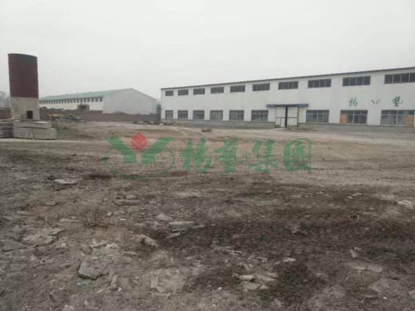 南宫NG28相信品牌的实力网址(中国)官网