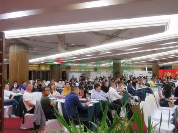 南宫NG28相信品牌的实力网址(中国)官网