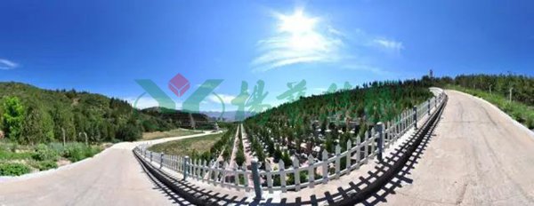 南宫NG28相信品牌的实力网址(中国)官网