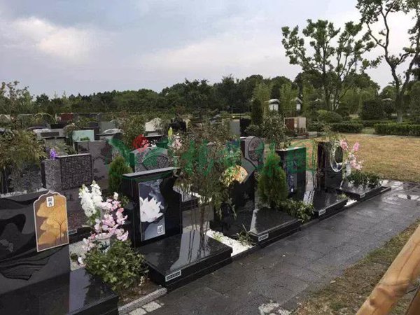 南宫NG28相信品牌的实力网址(中国)官网