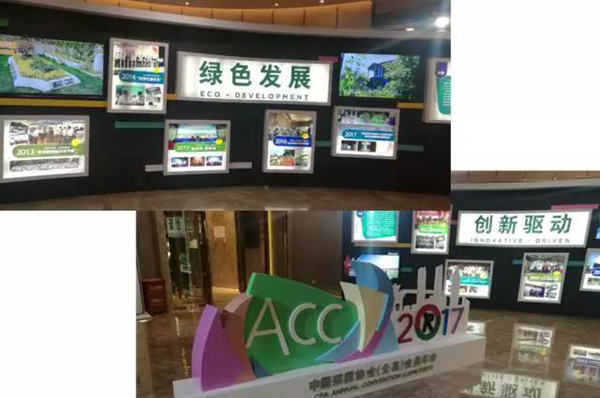 南宫NG28相信品牌的实力网址(中国)官网