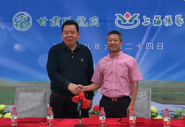 南宫NG28相信品牌的实力网址(中国)官网